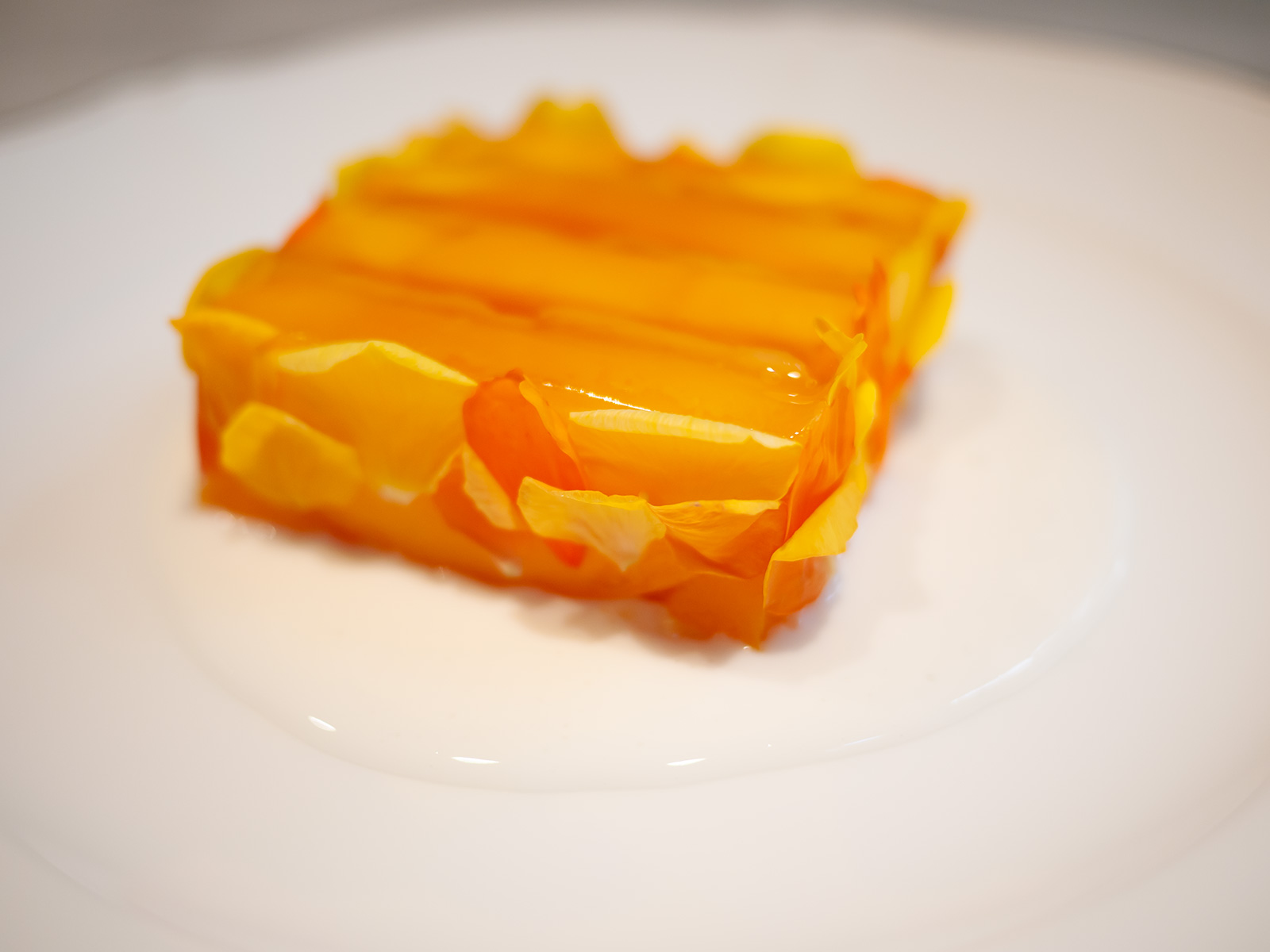 Mango and pineapple terrine classic styleアップで