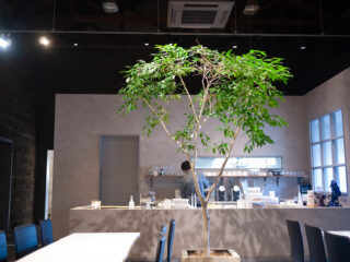 PÂTISSERIE chihiroのイートインスペース