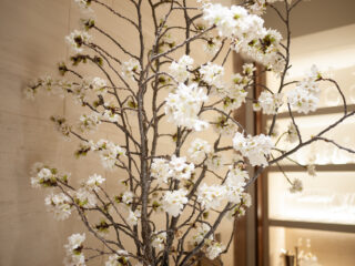 お店の中の桜