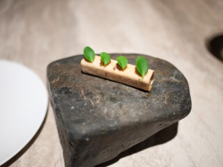 アマゾンカカオと新玉ねぎ