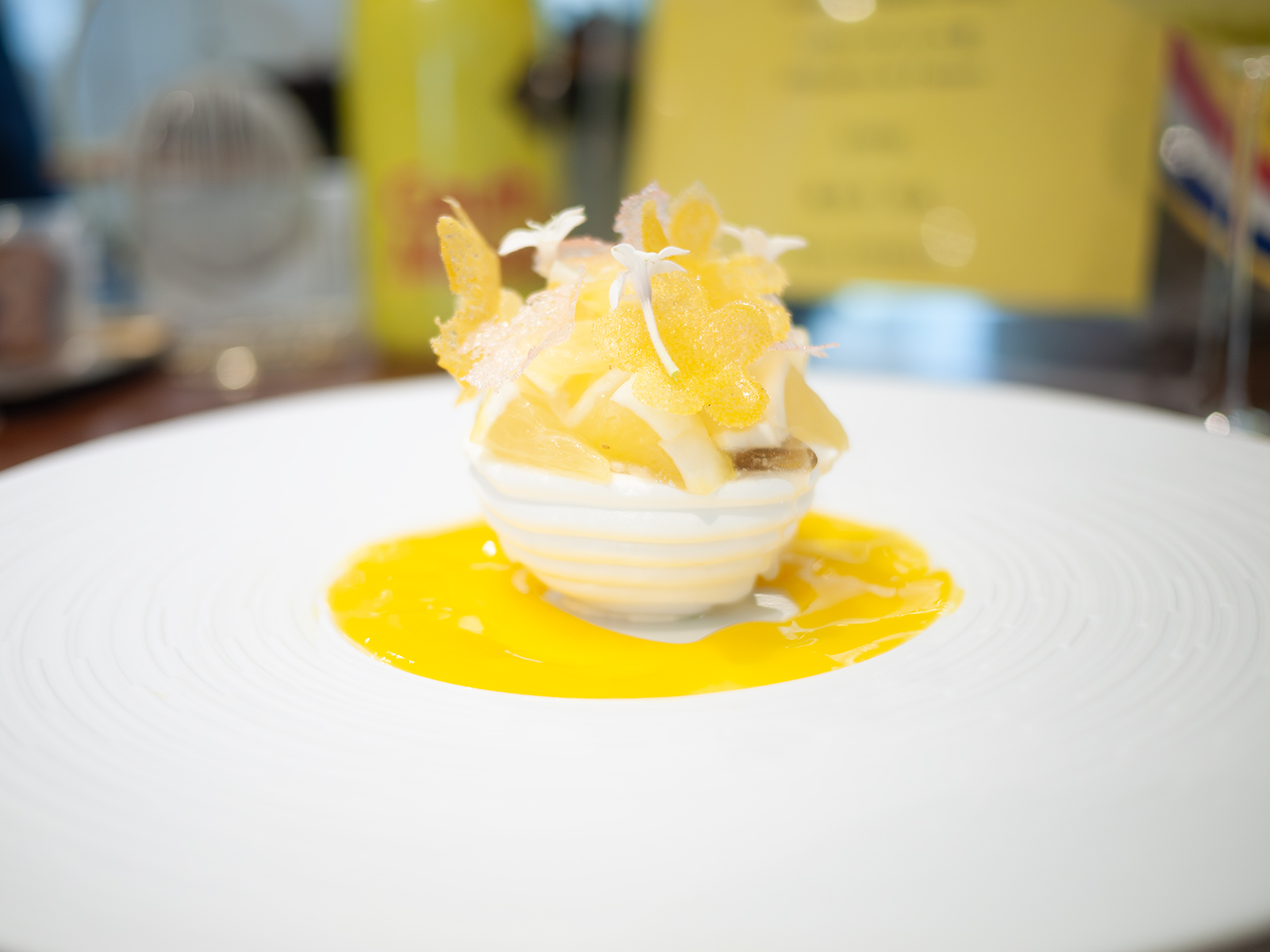 日向夏のヴァシュラン2